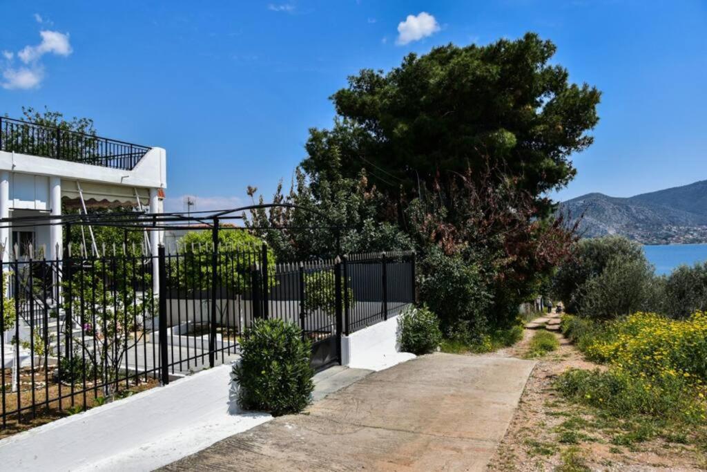 Μονοκατοικία Δίπλα Στην Θάλασσα 살라미스 외부 사진